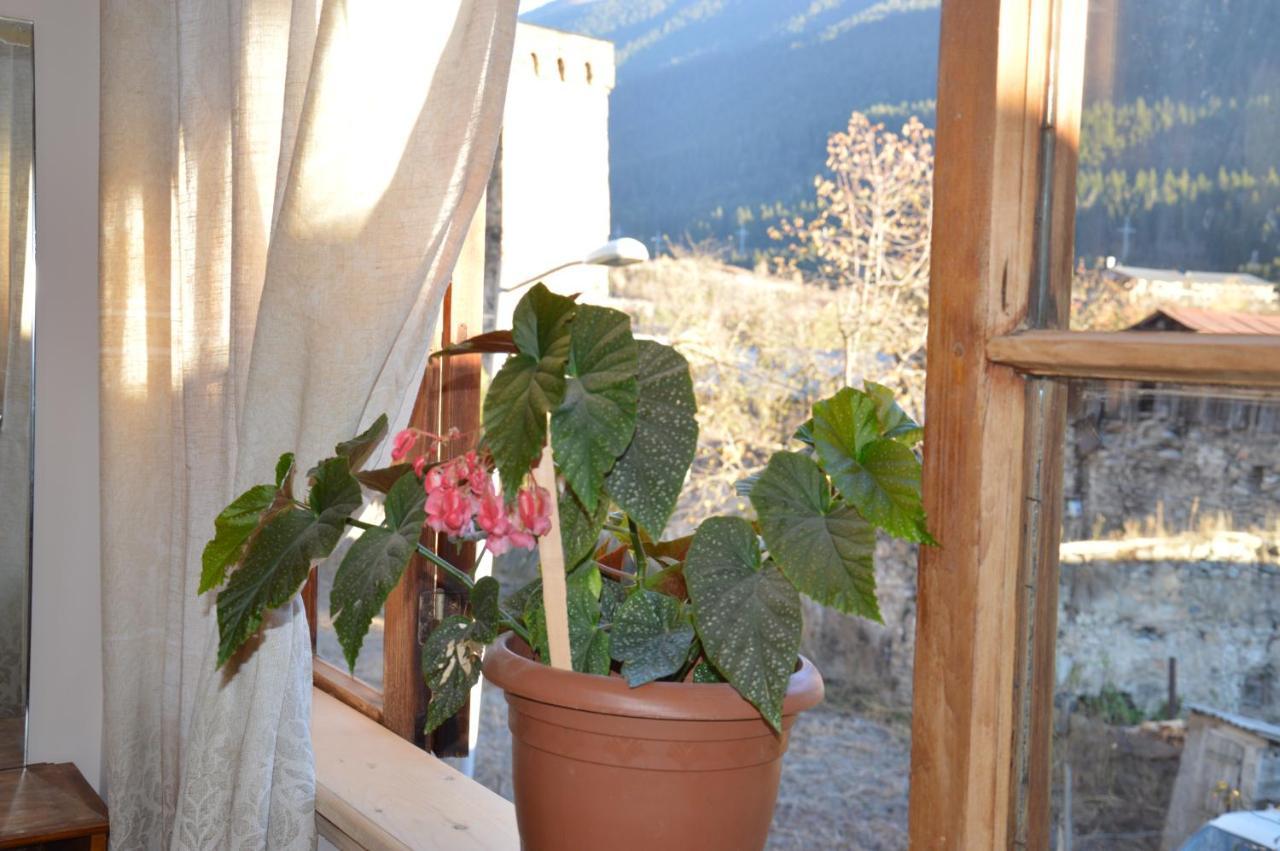 Ailama Guesthouse Mestia Exterior photo